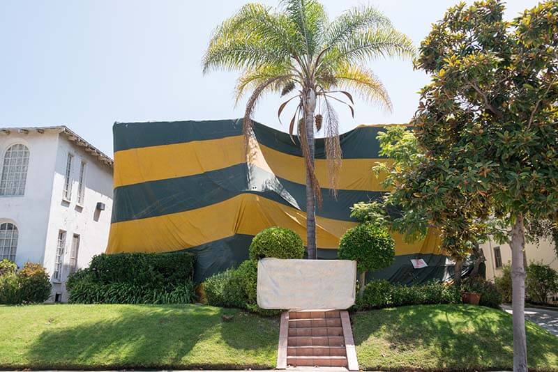 House Pest Tenting in Bennington