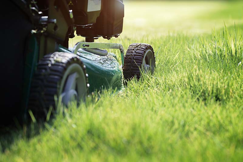 About Us Lawn Mowing