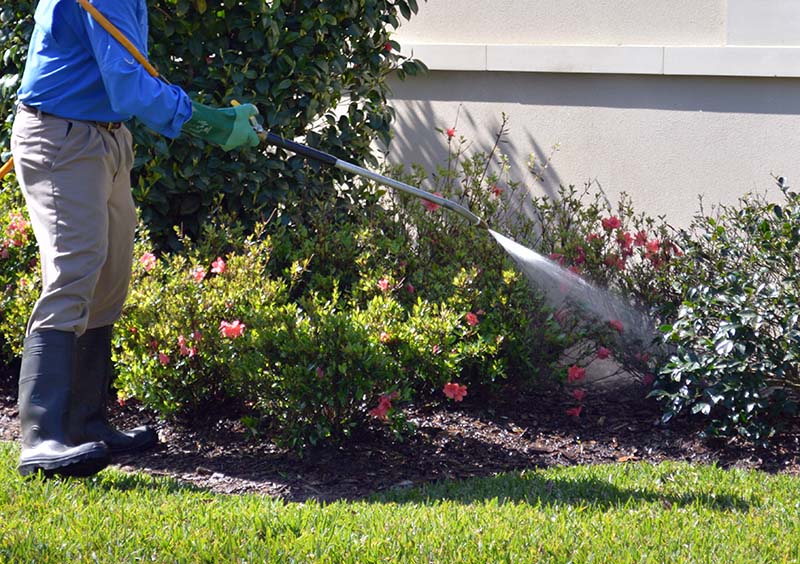 Fountain Insect Spraying